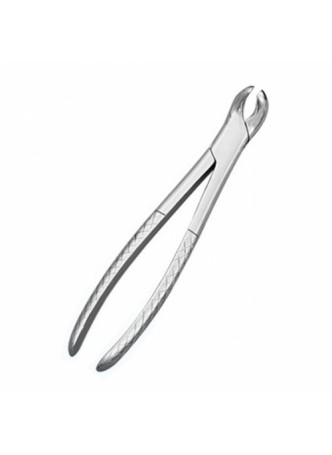 Growing Tooth Forceps (SS)